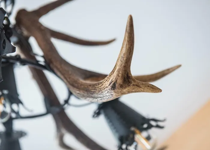 Nocleg ze śniadaniem Pod Orłem - Zakopane