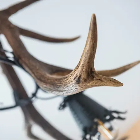 فندق مبيت وإفطار Pod Orlem - زاكوباني